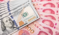 坤博精工：2024年前三季度净利润1736